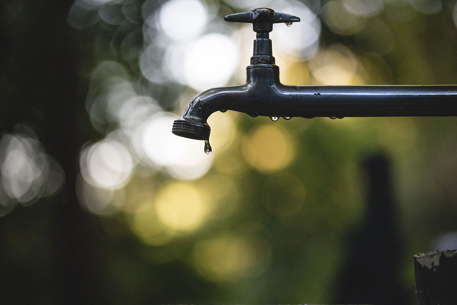 How Much Water Does A Leaking Faucet Waste Every Month?